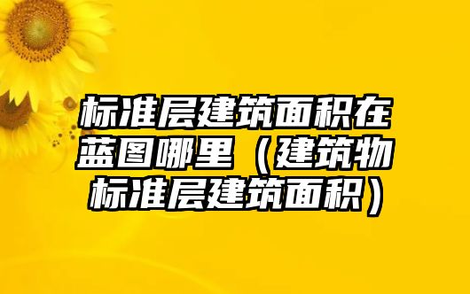 標(biāo)準(zhǔn)層建筑面積在藍圖哪里（建筑物標(biāo)準(zhǔn)層建筑面積）