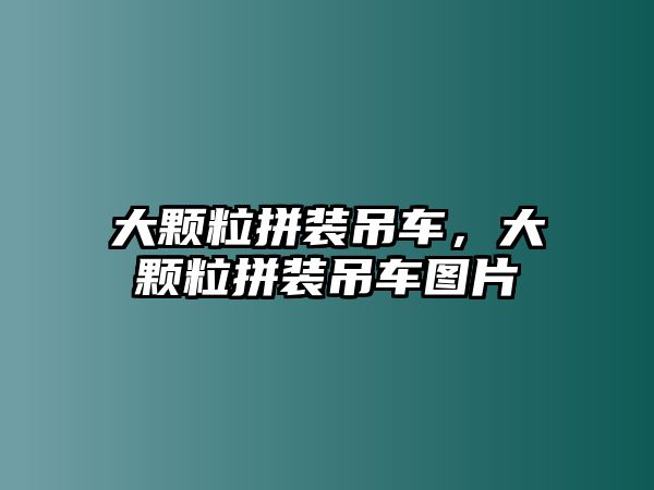 大顆粒拼裝吊車，大顆粒拼裝吊車圖片