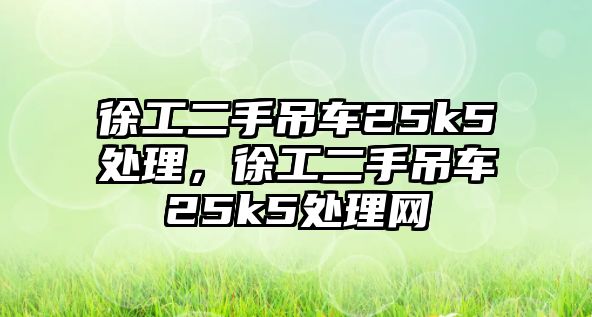 徐工二手吊車25k5處理，徐工二手吊車25k5處理網