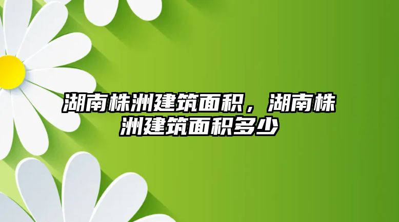 湖南株洲建筑面積，湖南株洲建筑面積多少