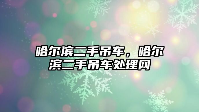 哈爾濱二手吊車，哈爾濱二手吊車處理網(wǎng)