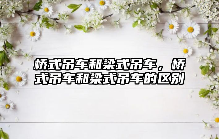 橋式吊車和梁式吊車，橋式吊車和梁式吊車的區(qū)別