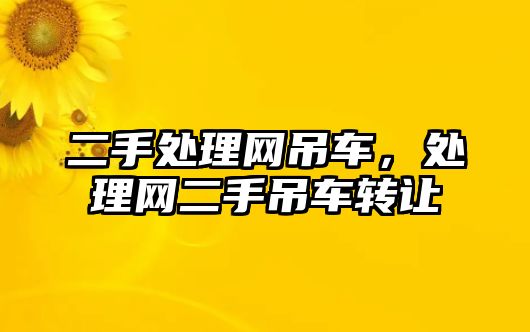 二手處理網(wǎng)吊車，處理網(wǎng)二手吊車轉(zhuǎn)讓