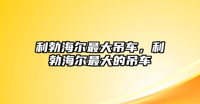 利勃海爾最大吊車，利勃海爾最大的吊車