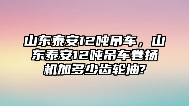 山東泰安12噸吊車，山東泰安12噸吊車卷揚機加多少齒輪油?