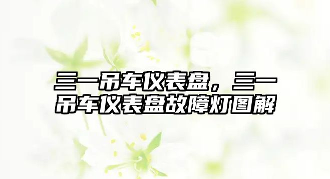 三一吊車(chē)儀表盤(pán)，三一吊車(chē)儀表盤(pán)故障燈圖解