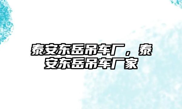 泰安東岳吊車廠，泰安東岳吊車廠家