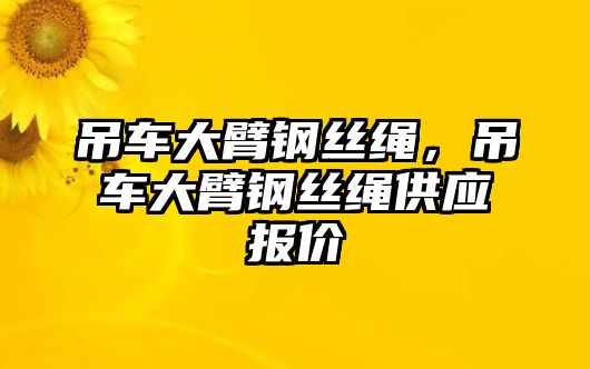 吊車大臂鋼絲繩，吊車大臂鋼絲繩供應(yīng)報價