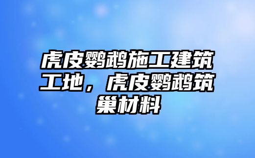 虎皮鸚鵡施工建筑工地，虎皮鸚鵡筑巢材料