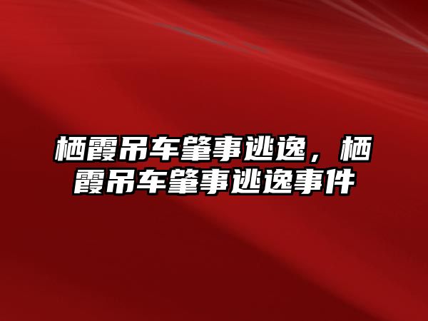 棲霞吊車肇事逃逸，棲霞吊車肇事逃逸事件