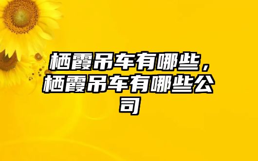 棲霞吊車有哪些，棲霞吊車有哪些公司