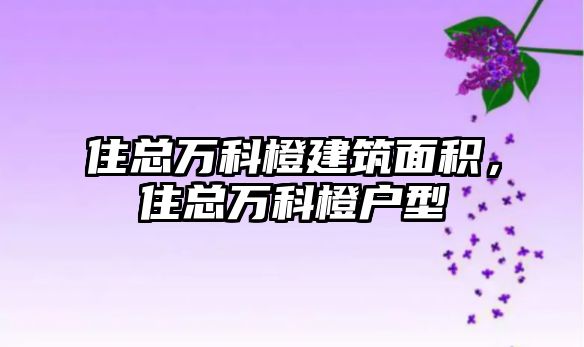 住總?cè)f科橙建筑面積，住總?cè)f科橙戶型