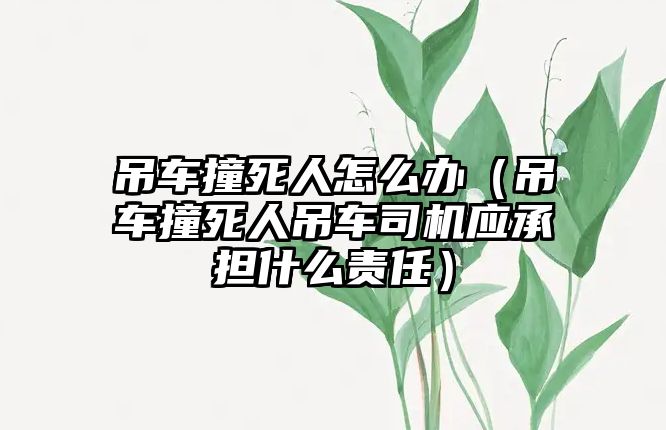 吊車撞死人怎么辦（吊車撞死人吊車司機(jī)應(yīng)承擔(dān)什么責(zé)任）