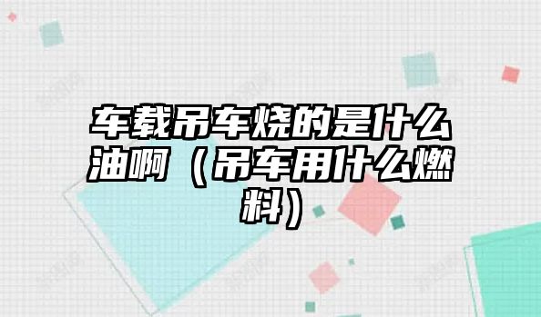 車載吊車燒的是什么油?。ǖ踯囉檬裁慈剂希? class=