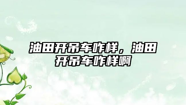 油田開吊車咋樣，油田開吊車咋樣啊