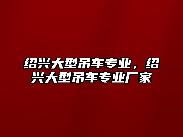 紹興大型吊車專業(yè)，紹興大型吊車專業(yè)廠家