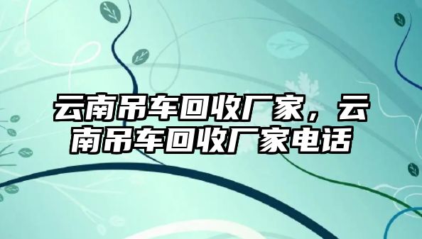 云南吊車回收廠家，云南吊車回收廠家電話