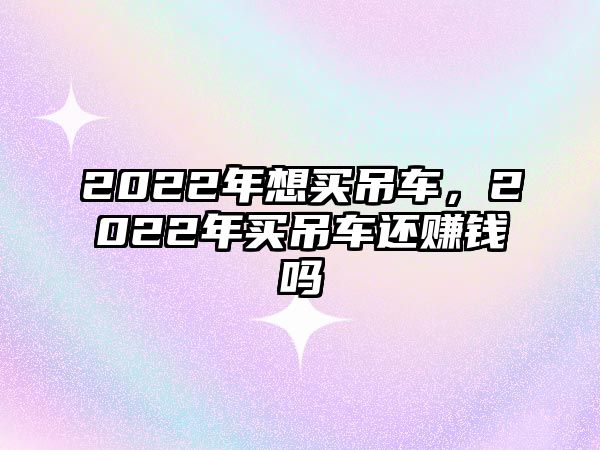 2022年想買(mǎi)吊車，2022年買(mǎi)吊車還賺錢(qián)嗎