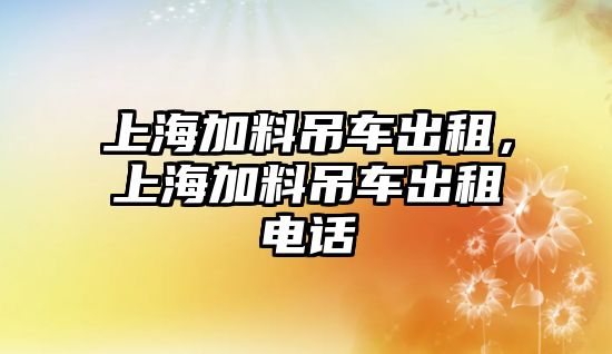 上海加料吊車出租，上海加料吊車出租電話