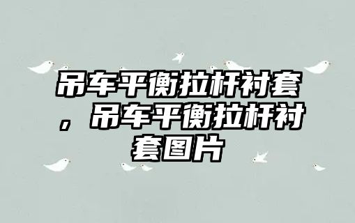 吊車平衡拉桿襯套，吊車平衡拉桿襯套圖片