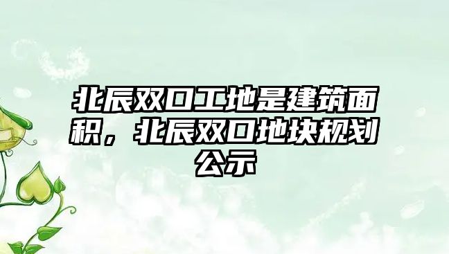 北辰雙口工地是建筑面積，北辰雙口地塊規(guī)劃公示