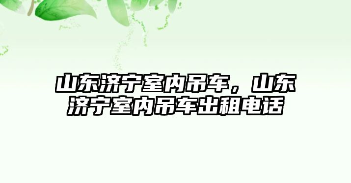 山東濟(jì)寧室內(nèi)吊車，山東濟(jì)寧室內(nèi)吊車出租電話