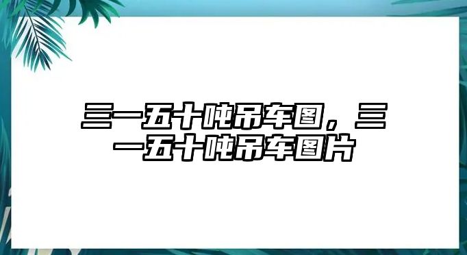 三一五十噸吊車圖，三一五十噸吊車圖片