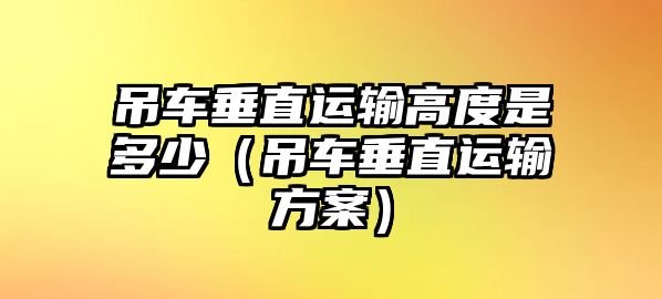 吊車垂直運輸高度是多少（吊車垂直運輸方案）