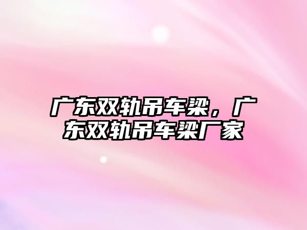 廣東雙軌吊車梁，廣東雙軌吊車梁廠家