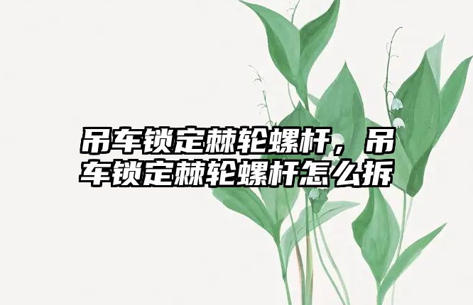 吊車鎖定棘輪螺桿，吊車鎖定棘輪螺桿怎么拆