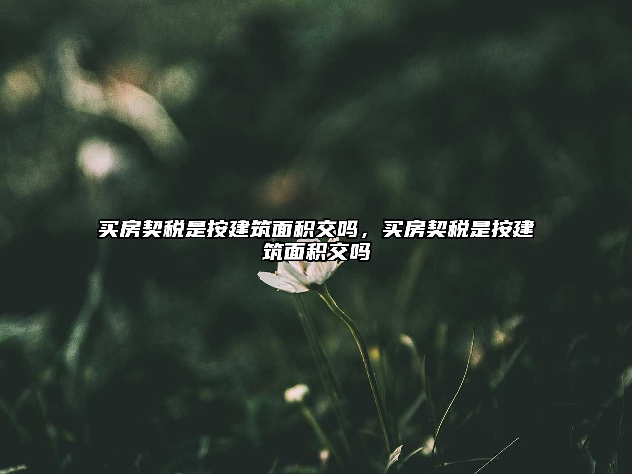 買(mǎi)房契稅是按建筑面積交嗎，買(mǎi)房契稅是按建筑面積交嗎