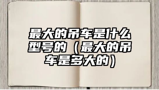 最大的吊車是什么型號(hào)的（最大的吊車是多大的）