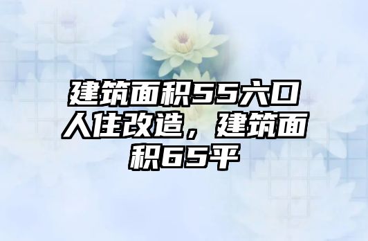 建筑面積55六口人住改造，建筑面積65平