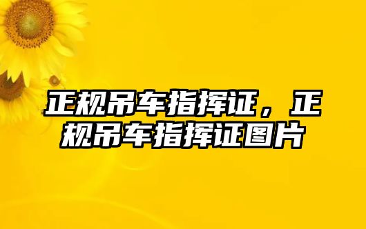 正規(guī)吊車指揮證，正規(guī)吊車指揮證圖片