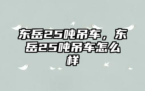 東岳25噸吊車，東岳25噸吊車怎么樣