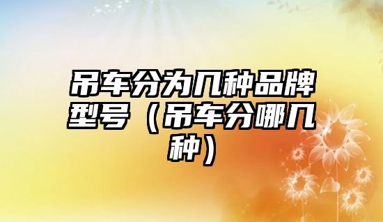 吊車分為幾種品牌型號(hào)（吊車分哪幾種）