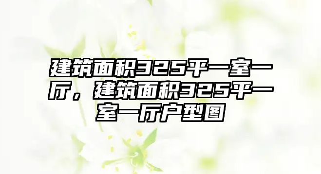 建筑面積325平一室一廳，建筑面積325平一室一廳戶型圖