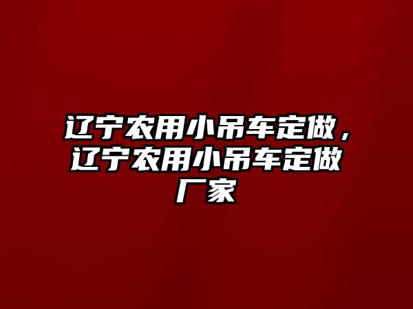 遼寧農(nóng)用小吊車定做，遼寧農(nóng)用小吊車定做廠家