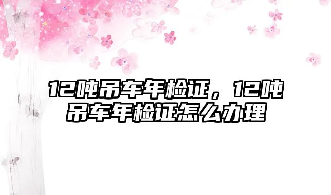 12噸吊車年檢證，12噸吊車年檢證怎么辦理