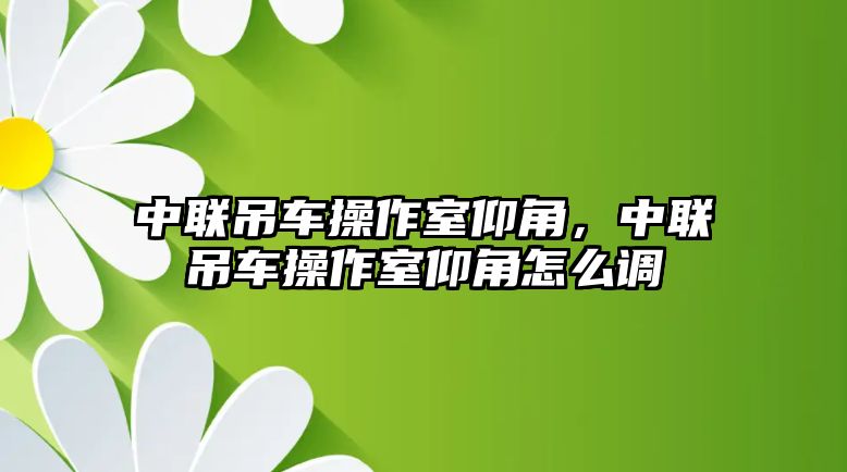 中聯(lián)吊車(chē)操作室仰角，中聯(lián)吊車(chē)操作室仰角怎么調(diào)